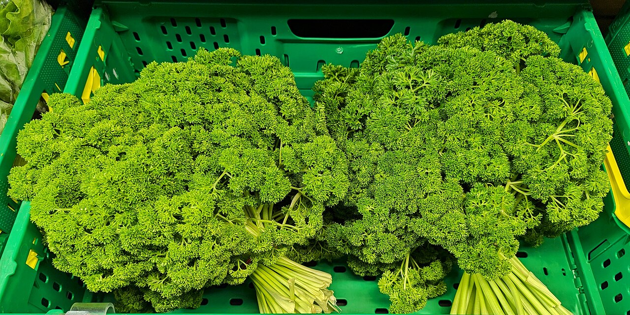Keeping Fresh Herbs Alive for Two Weeks Without Plastic